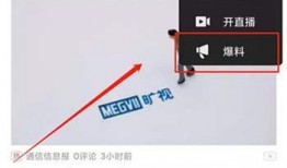 头条爆料后怎么收录视频,视频收录背后的秘密与技巧