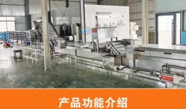 鱼丸加工厂爆料视频,独家爆料视频背后的真相