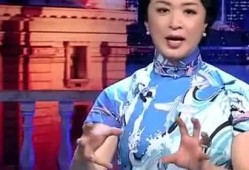 金星爆料老实人视频大全,老实人视频大全，揭秘真实生活百态