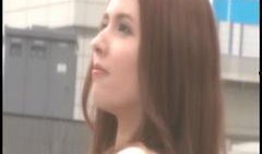 成人高清在线观看