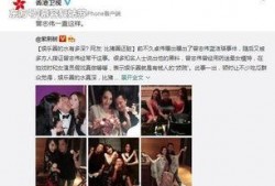 香港柴智敏爆料事件视频,揭秘幕后的惊人真相