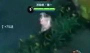 周瑜技能爆料视频大全下载,揭秘三国名将的神秘魅力