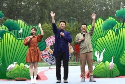 中大纺织城爆料视频最新,揭秘行业变革与市场动态