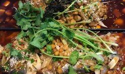 牛蛙爱上鱼爆料视频,一场跨越物种的浪漫邂逅