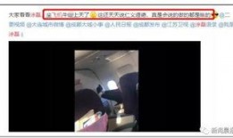 网友爆料飞机视频下载软件,网友爆料，这款软件让你轻松获取空中美景