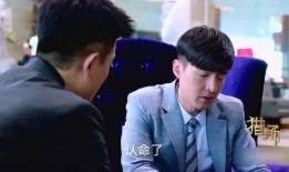 《猎场》12在线观看,职场精英的猎场风云，揭秘职场生存法则