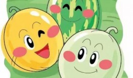 取件码天天开心免费吃瓜,免费吃瓜大行动！揭秘取件码背后的惊喜福利