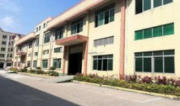 洋米高在线观看,揭秘热门剧集背后的精彩故事