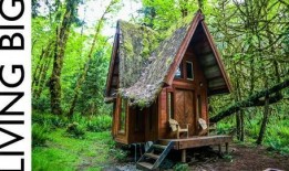 美国林中小屋在线观看,沉浸式在线探险之旅