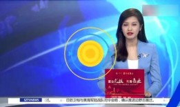 香港退役警察爆料视频网,网爆视频揭露惊人内幕