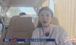 菲利斯摄影师爆料视频,揭秘幕后精彩瞬间