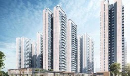 禹洲最新爆料,揭秘神秘项目背后的惊人真相