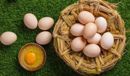热点爆料鸡蛋能吃吗视频,鸡蛋能否安心食用？热点视频深度解析