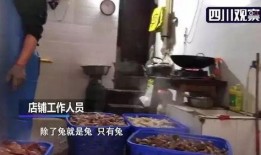 手撕烤兔爆料视频播放,揭秘传统美食制作全过程