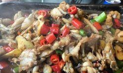 牛蛙爱上鱼爆料视频,一场跨越物种的浪漫邂逅