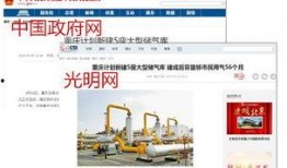 重庆中央新闻怎么爆料,聚焦民生热点，助力社会进步