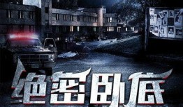 绝密卧底在线观看,潜入黑暗，揭秘真相