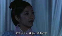 东西宫略粤语在线观看,穿越时空的宫廷传奇