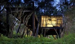 美国林中小屋在线观看,沉浸式在线探险之旅