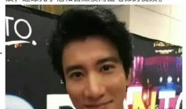 王力宏回应爆料视频大全,真相与澄清