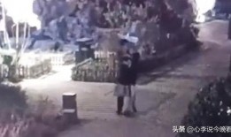 追星吃瓜免费完整版视频,热门事件幕后真相大公开