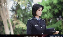 警花被爆料视频小说合集,揭秘警花被爆料视频背后的惊心动魄故事