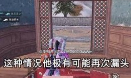 赵灵儿和平精英爆料视频