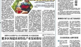 邯郸日报新闻爆料