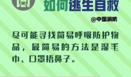 地铁逃生新手册爆料视频,视频爆料带你掌握安全逃生技能