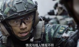 猎豹突击全集在线观看,热血征程，铁血豪情