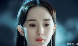 杨姓女星爆料事件视频在线观看