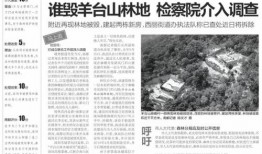 盐城龙冈爆料案件最新,揭秘背后惊人真相