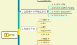 遂宁食堂爆料视频大全集,揭秘校园美食背后的故事