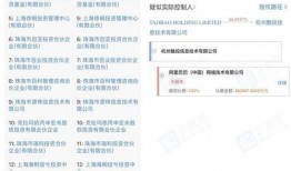 华为爆料辛巴视频大全集,辛巴视频大全集深度解析