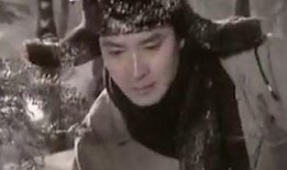 电影熊迹在线观看,探寻神秘生物的奇幻之旅