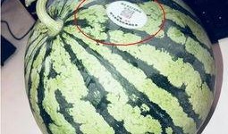 网红吃瓜现场,揭秘娱乐圈幕后真相