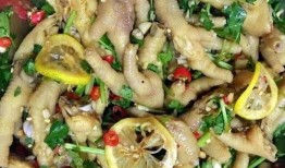 柠檬凤爪爆料视频下载免费,免费下载视频教程，轻松学会家常美味