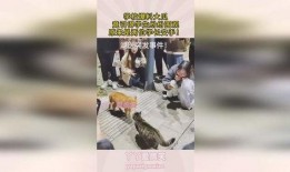 学校大瓜爆料原视频,揭秘学校大瓜爆料原视频幕后真相