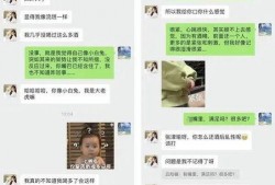 寻亲爆料聊天记录视频,揭秘聊天记录背后的感人故事