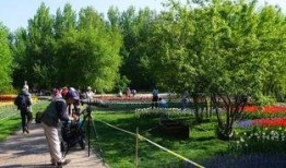 哈尔滨植物园爆料视频大全,探秘园中奇观与生态魅力