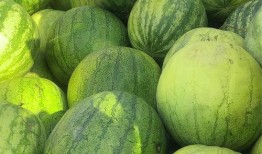 当前娱乐吃瓜,揭秘明星幕后故事