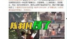 张桓远最新爆料视频完整版,事件真相与背后故事深度剖析