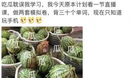 娱乐圈pdf吃瓜,揭秘明星幕后故事与八卦传闻