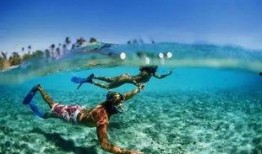 巴厘岛员工爆料案例最新,揭秘奢华酒店背后的真实内幕