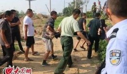 山东日照爆料事件最新,揭秘背后真相与影响