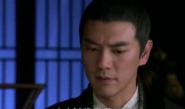 元芳爆料视频大全,揭秘娱乐圈幕后真相