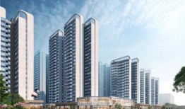 禹洲最新爆料,揭秘神秘项目背后的惊人真相