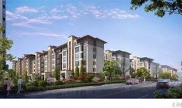 禹洲最新爆料,揭秘神秘项目背后的惊人真相