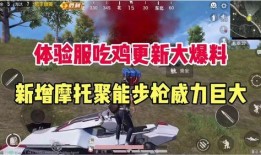 和平精英最新吃鸡爆料图,全新吃鸡玩法，视觉盛宴即将开启！