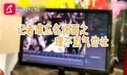快乐吃瓜娱乐新闻视频,最新娱乐新闻视频盘点